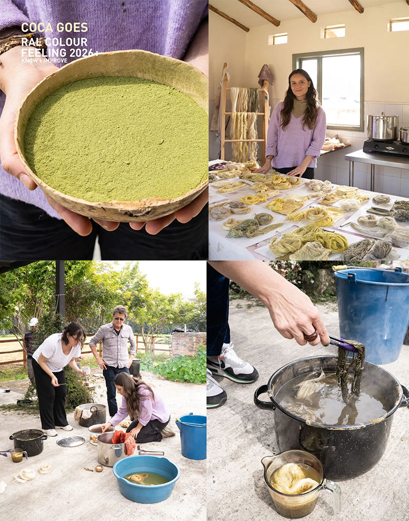 劳尔色彩趋势体验